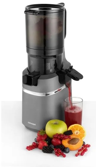 Concept LO7120 - Lassú facsaró JUICY 250W/230V szürke