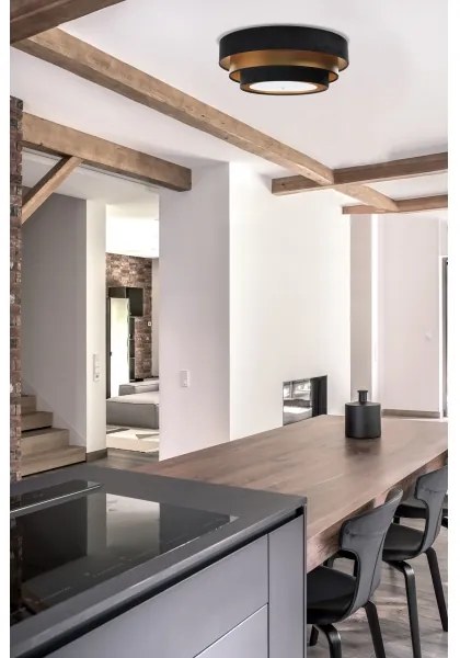 TRINITI mennyezeti lámpa 2xE27/60W/230V fekete/arany