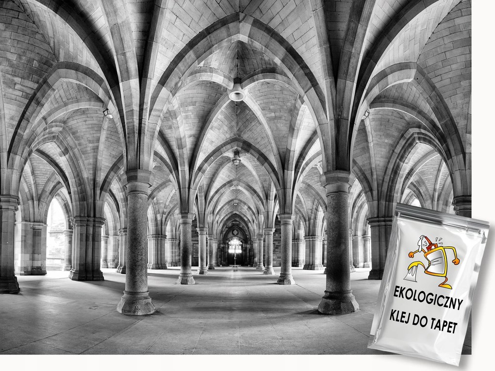 Fotótapéta Flizelina Építészet Műemlékek Ívek Fekete-Fehér 250x175 ragasztó