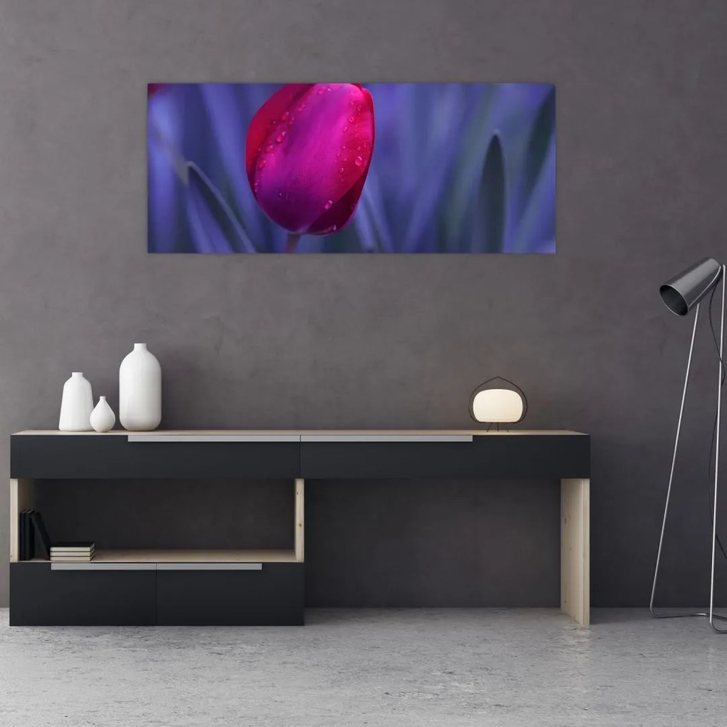Tulipán bimbó képe (120x50 cm)