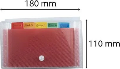 Harmonikamappa, 180x110 mm, PP, 6 rekeszes, EXACOMPTA (EX55498E)