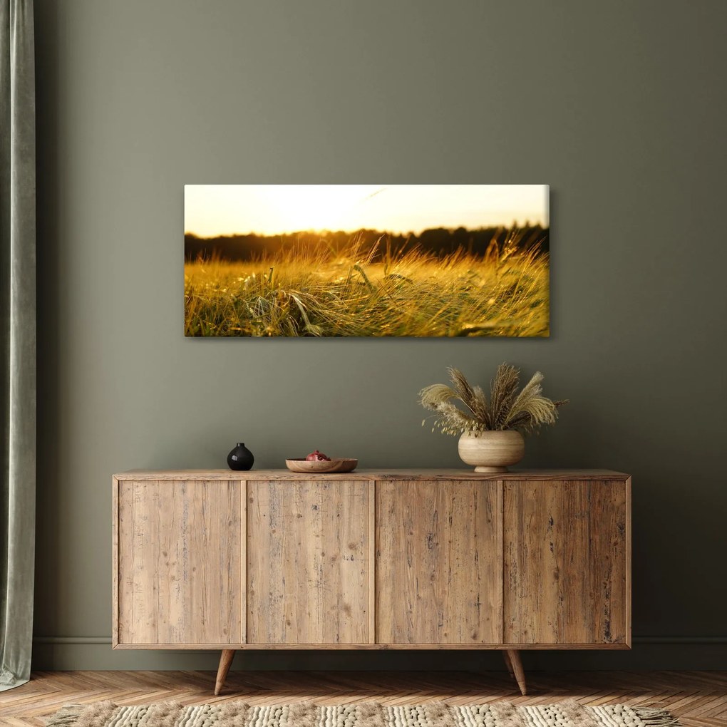 Harmatos fű képe (120x50 cm)
