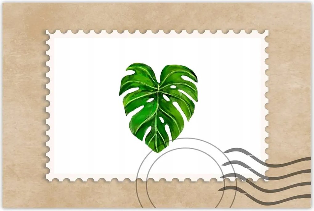 Poszter 60x40 Lyukas monsera levél