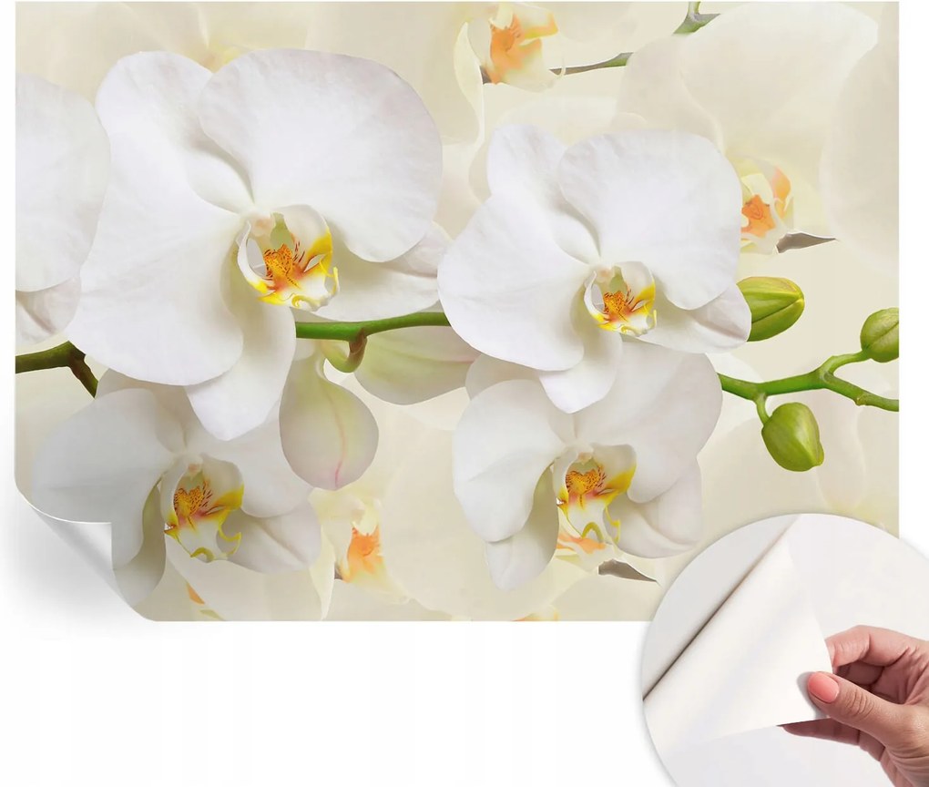 Design fali fotótapéta öntapadós virágos gazdagság 312x219 cm