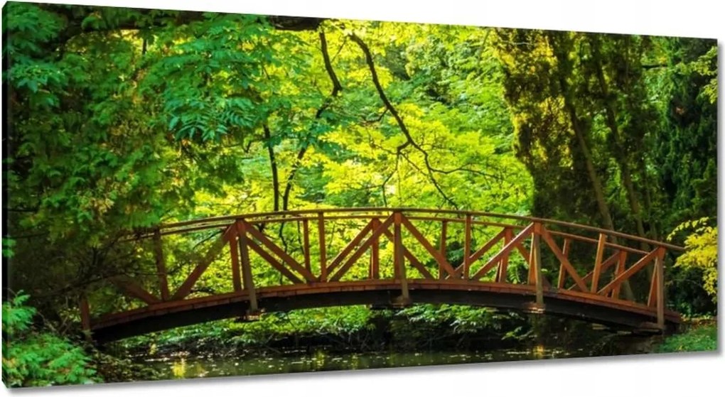 Festmények 115x55 Fa híd