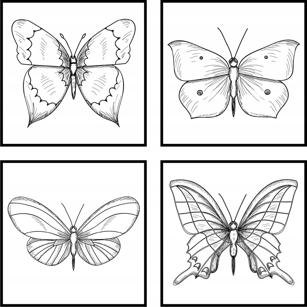 Pillangók grafika négyzet poszter 30x30cm 4db