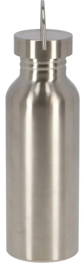 Ezüstszínű rozsdamentes acél ivópalack 650 ml – Esschert Design