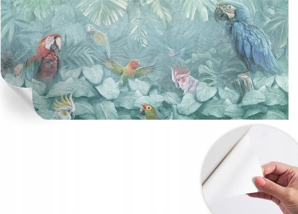 Öntapadós fotótapéta Divatos Egzotikus madarak 250x104 cm