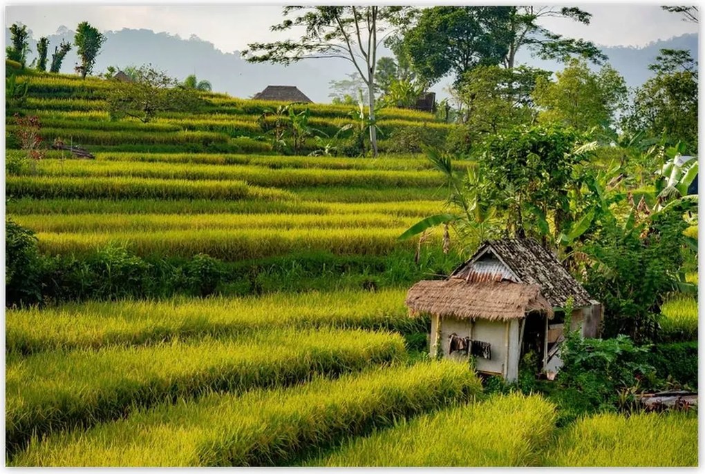 Poszterek 120x80 Tájkép Látvány