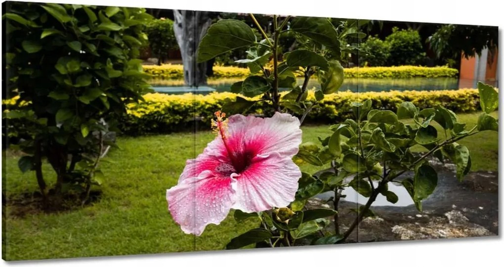 Vászonkép 180x90 Virágok