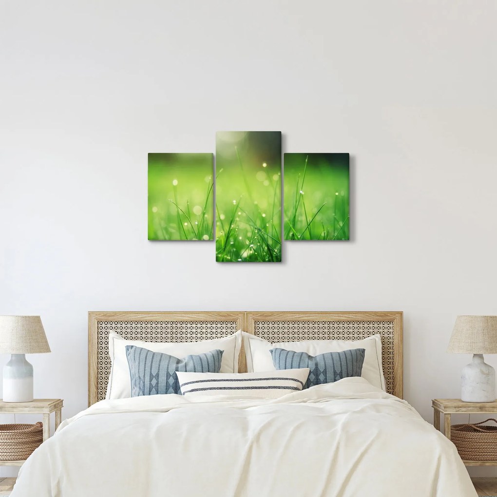 Kép - harmatos fű (90x60 cm)