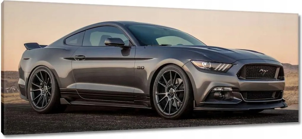 Képek 100x40 Ford Mustang made in Usa