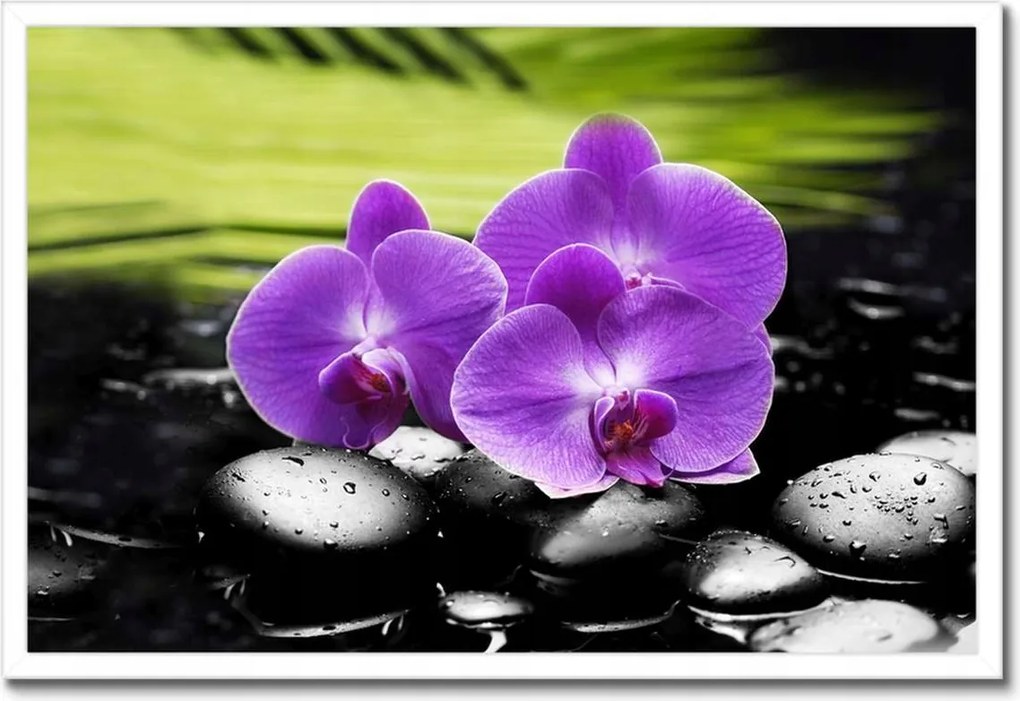 Poszterek keretben 60x40 Orchideák a köveken
