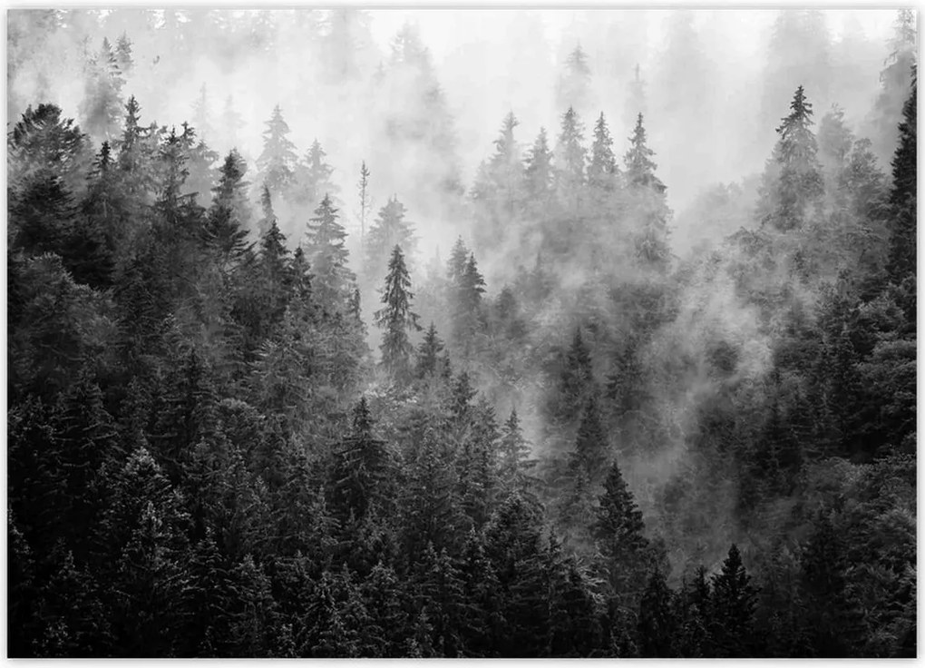 Poszterek 70x50 Tájkép Szürke Hegyek Köd