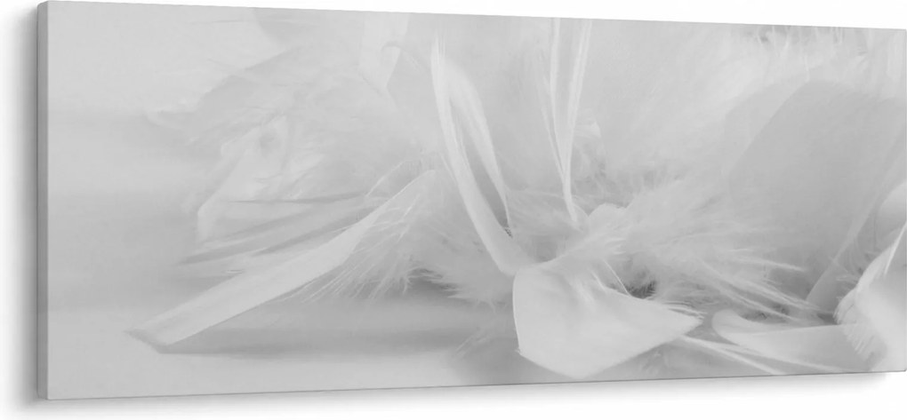 Kép - Tollak (120x50 cm)