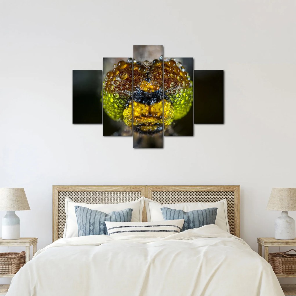 Részletes kép a rovar szemről (150x105 cm)