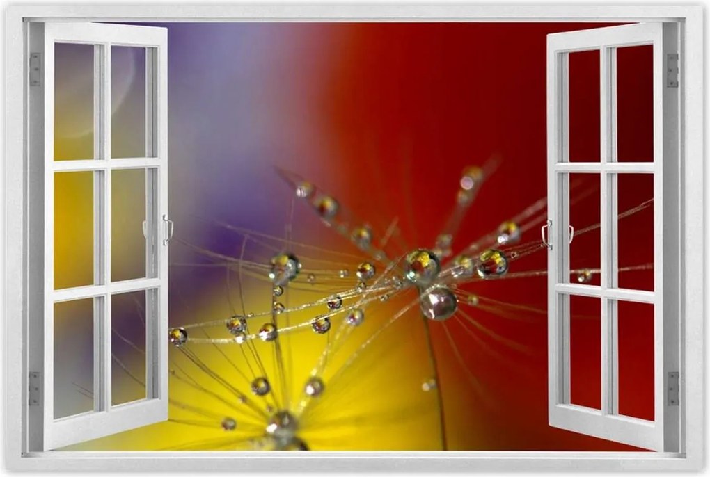 Poszterek 120x80 Pitypang Virág Virágok