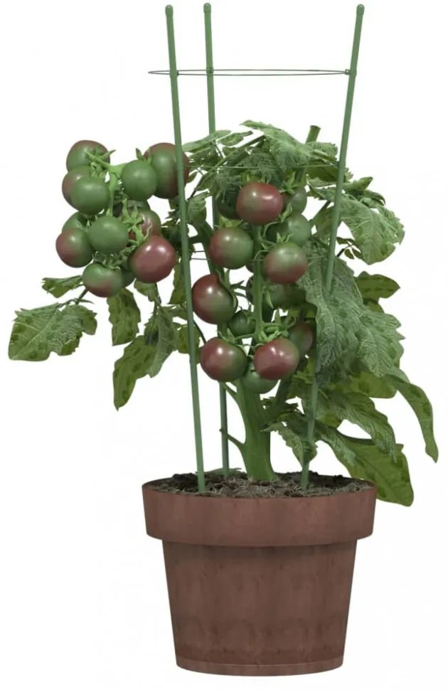 5 db zöld acél kerti növénytámasz 3 gyűrűvel 45 cm