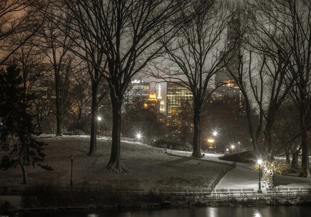 Poszter 66,5x46,5cm Central Park éjszaka, Assaf Frank