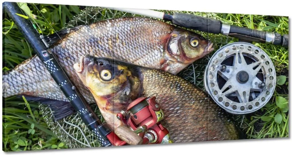 Vászonkép 180x90 Nagy friss hal