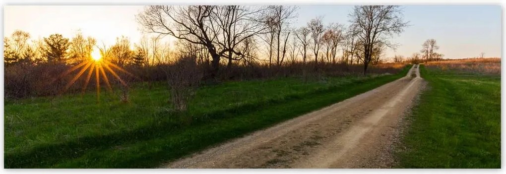 Poszterek 200x66 Mező út Fák Mezők