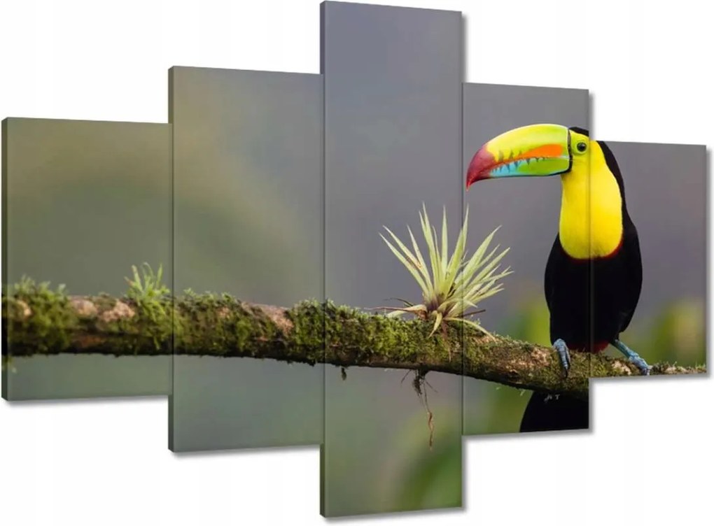 Vászonkép 100x70 Madarak