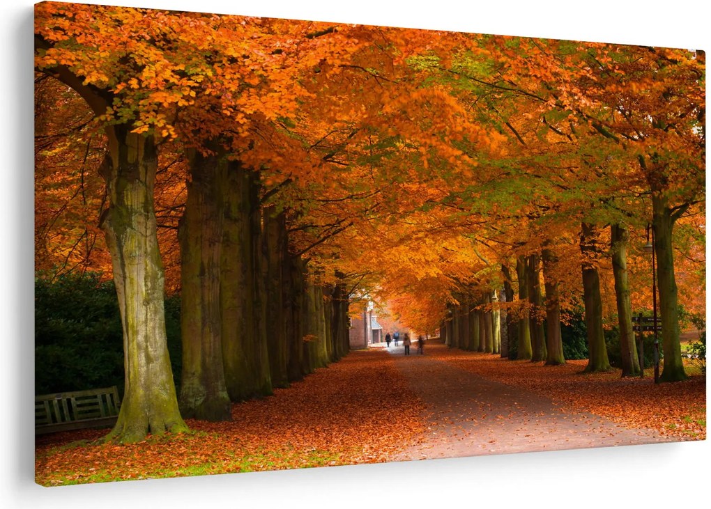 Kép - A Avenue of fák ősszel (90x60 cm)
