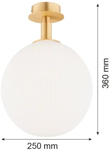 Argon 8505 - Mennyezeti lámpa PALOMA 1xE27/15W/230V arany/fehér