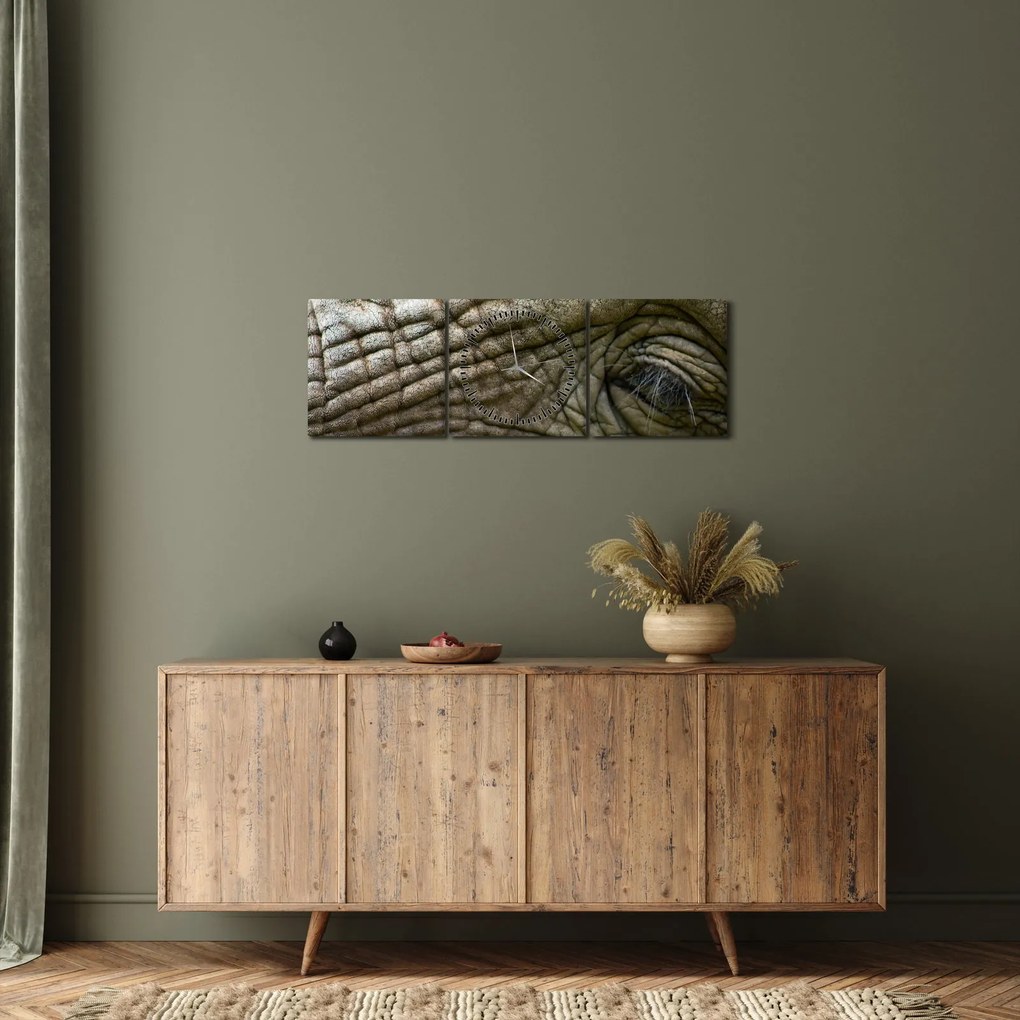 Kép - Közelkép az öreg elefánt szeméről (órával) (90x30 cm)
