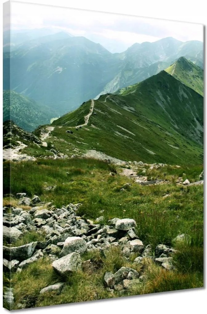 Vászonkép 30x40 Tátra Lengyel hegyek Kilátás