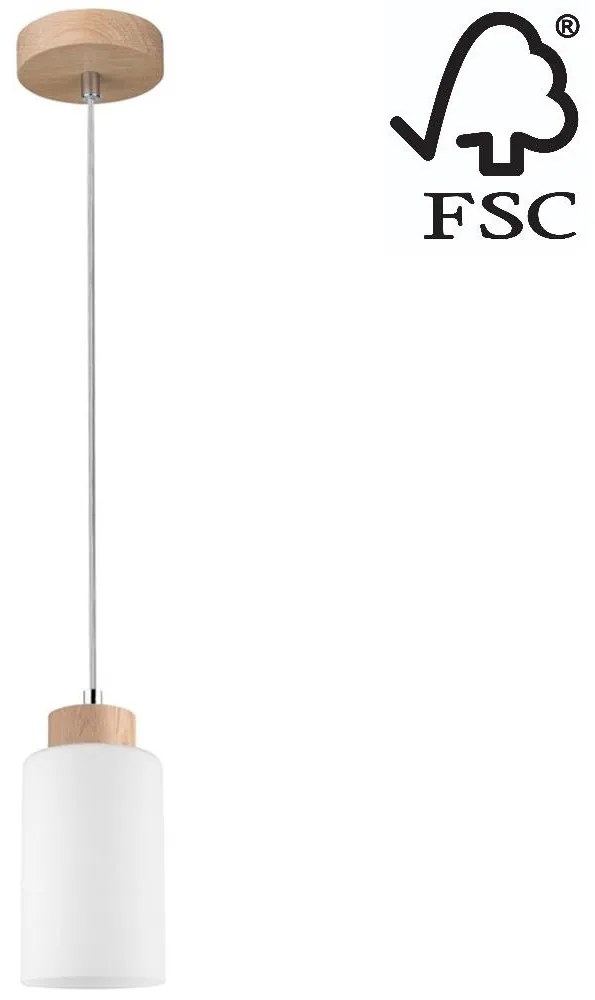Spot-Light Spot-Light 1720174 - Csillár zsinóron BOSCO 1xE27/60W/230V SP0387