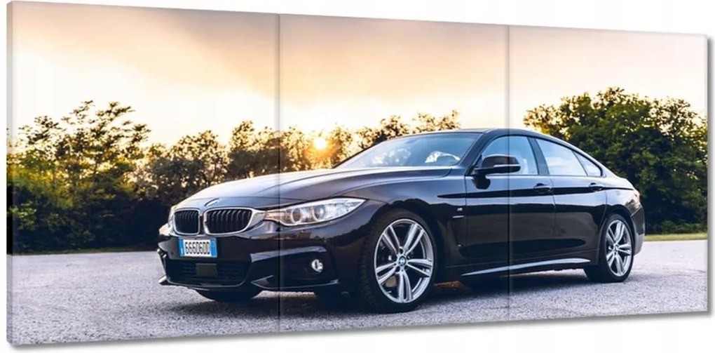 Vászonkép 150x70 Fekete Bmw