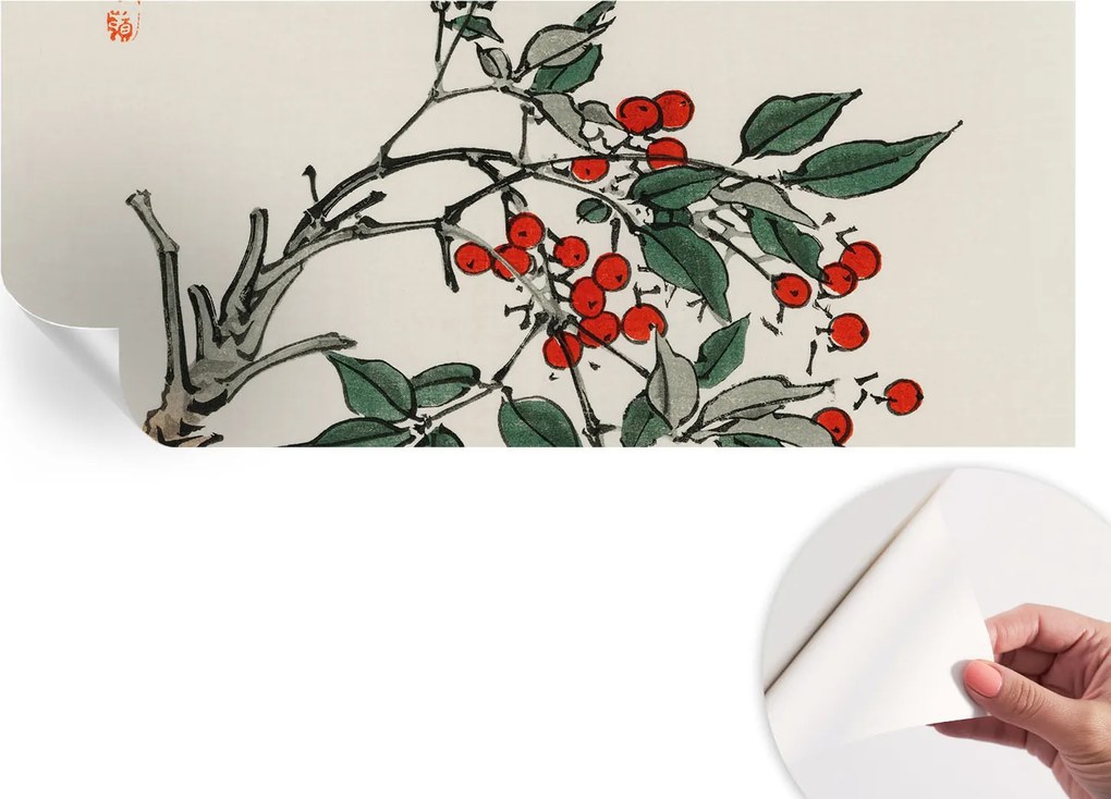 Design fali fotótapéta öntapadós bogyós ág 250x104 cm