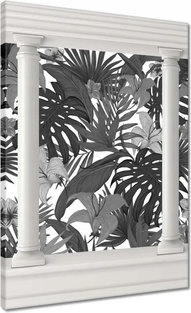 Vászonkép 50x70 Fekete-fehér monstera