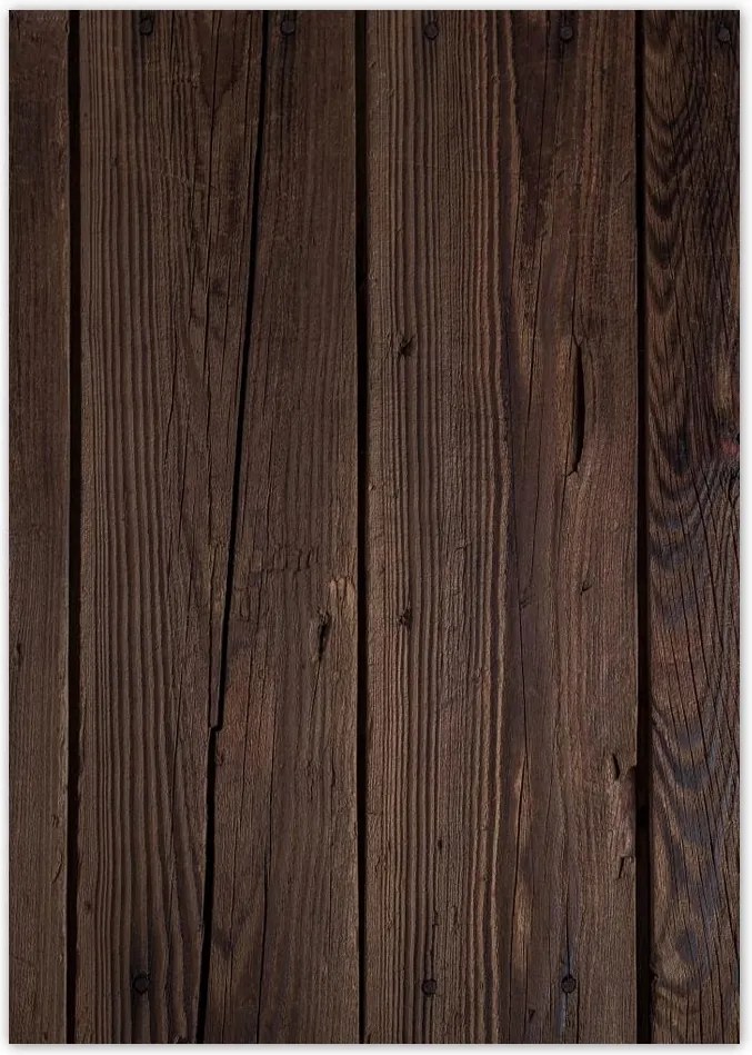 Poszterek A4 Pion Fa világ Fa