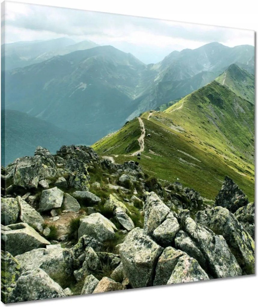 Vászonkép 60x60 Tátra csúcs