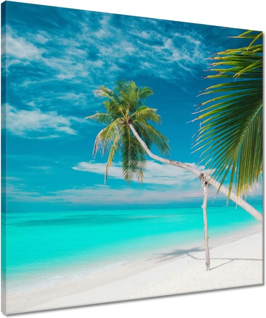 Vászonkép 50x50 Tájkép Látvány