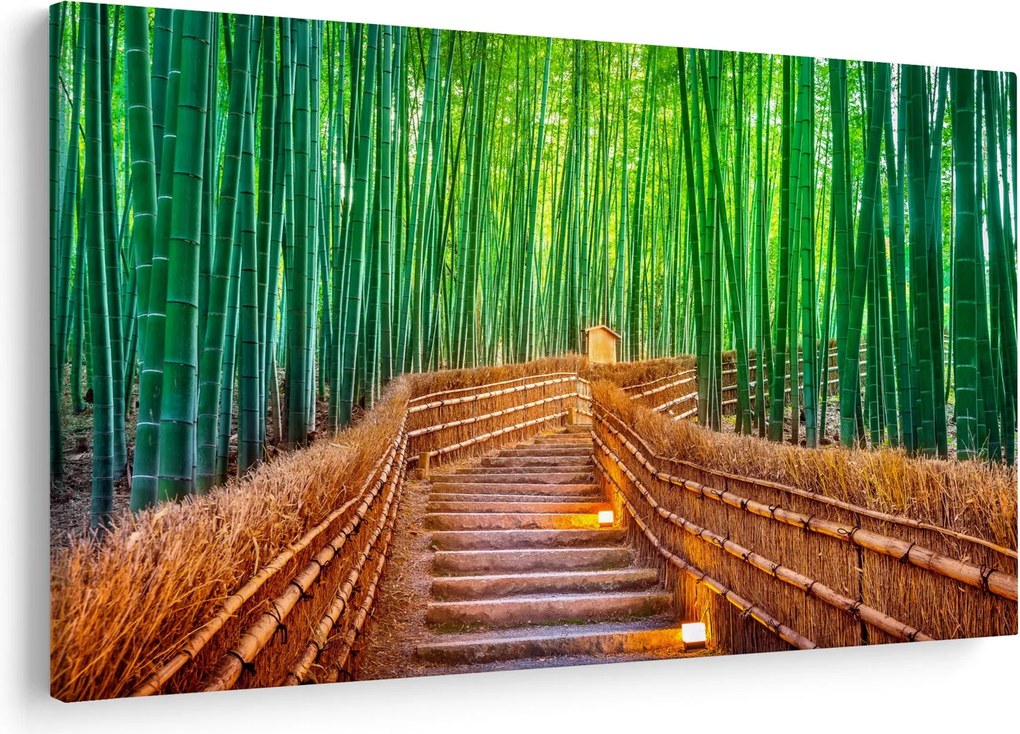 Kép - Japán bambusz erdő (90x60 cm)