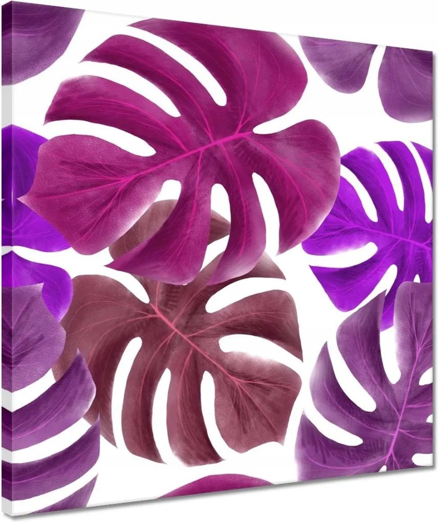 Vászonkép 40x40 Monstera Levelek Lila