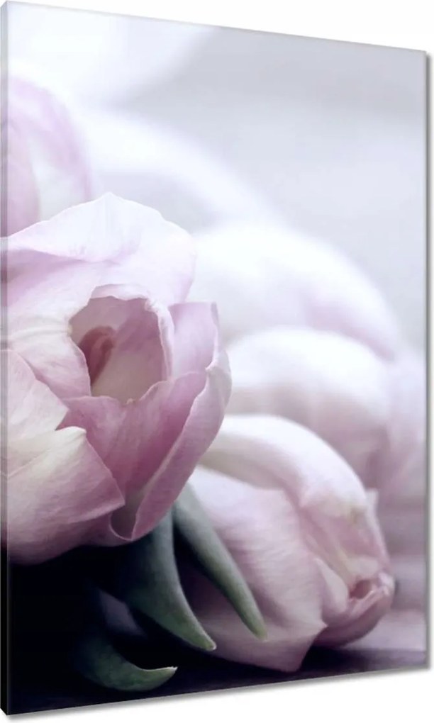 Vászonkép 70x100 Tulipánok Virágok