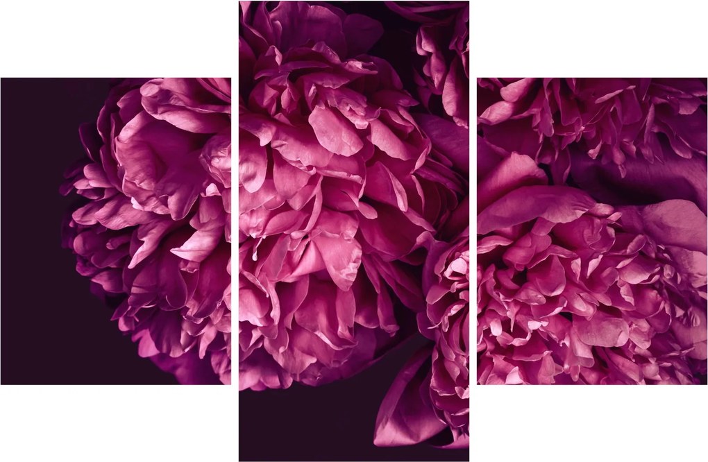 Kép - Csokor pünkösdi rózsa (90x60 cm)
