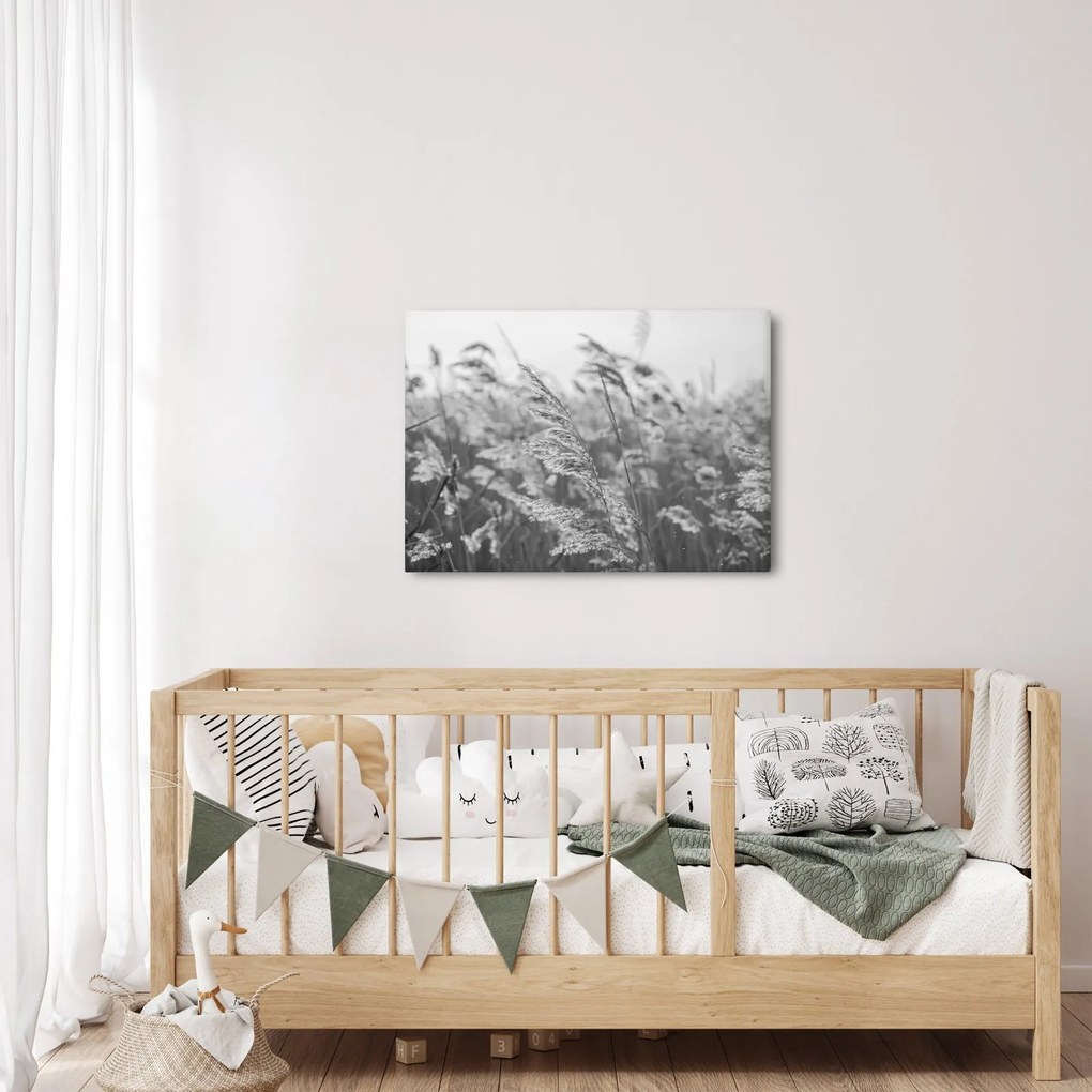 Kép - Fű a szélben (70x50 cm)