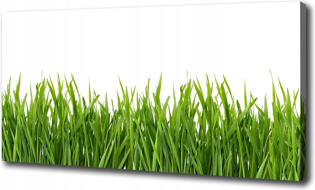 Fotótapéta nappaliba Fű 120x60 cm