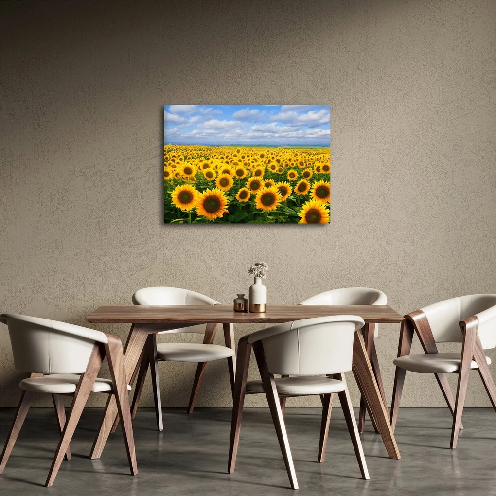 A napraforgó mező képe (70x50 cm)