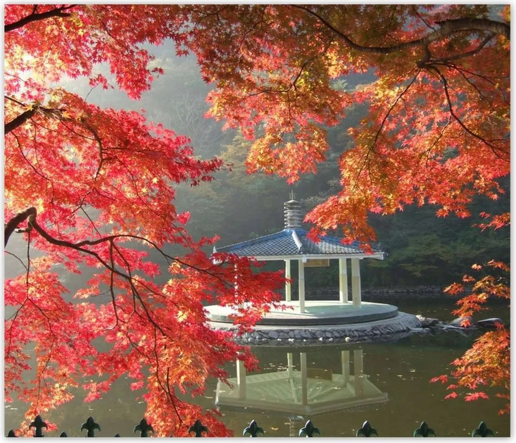 Poszterek 100x100 Őszi meditációk