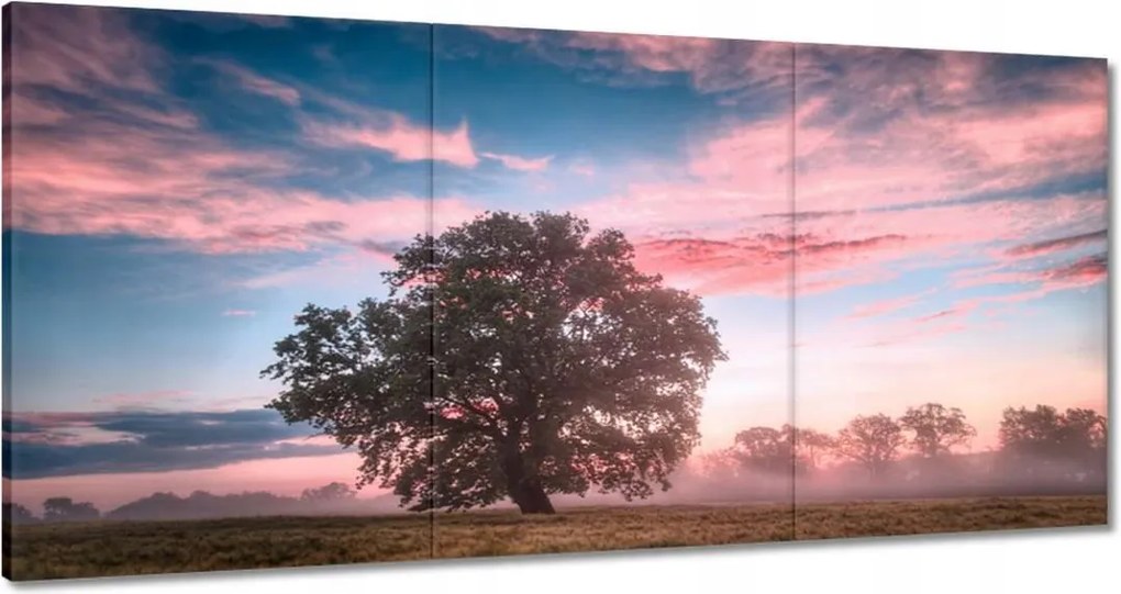 Vászonkép 180x90 Candy tájkép Köd