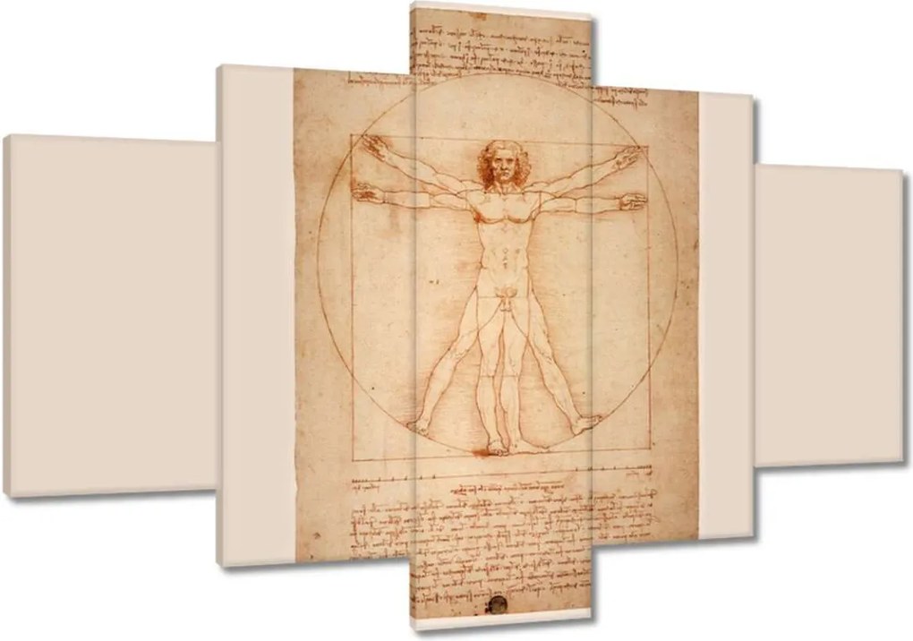 Festmények 120x80 A vitruviusi ember