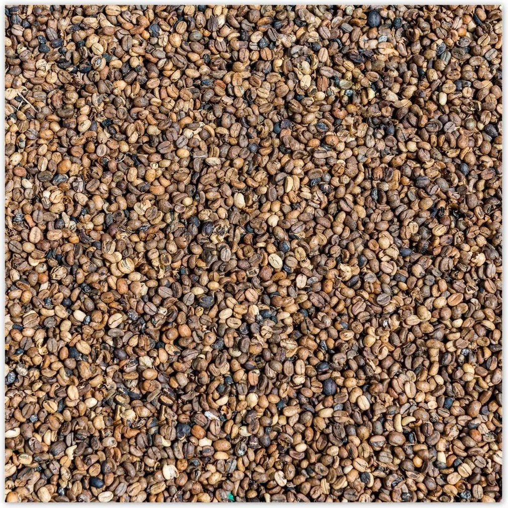 Poszterek 100x100 Kávé Kaffe