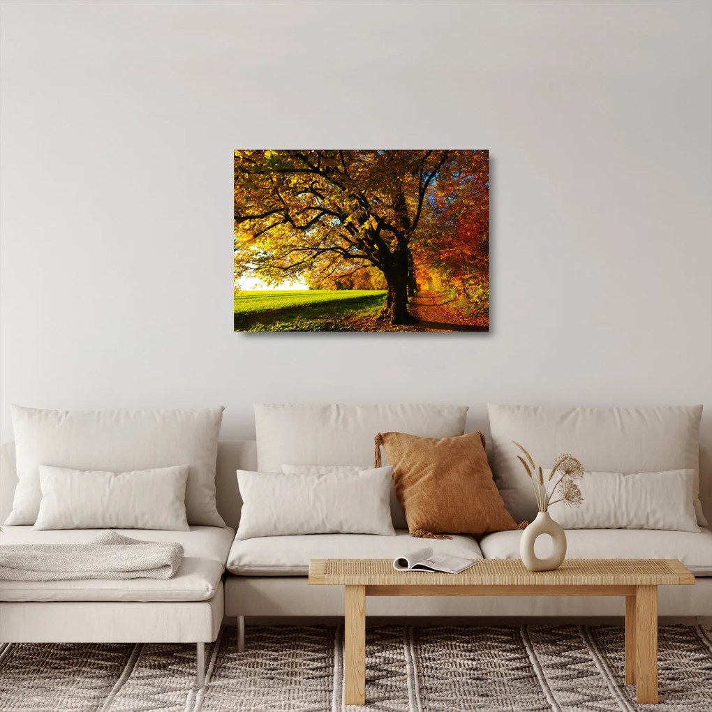Egy őszi fa képe (üvegen) (70x50 cm)