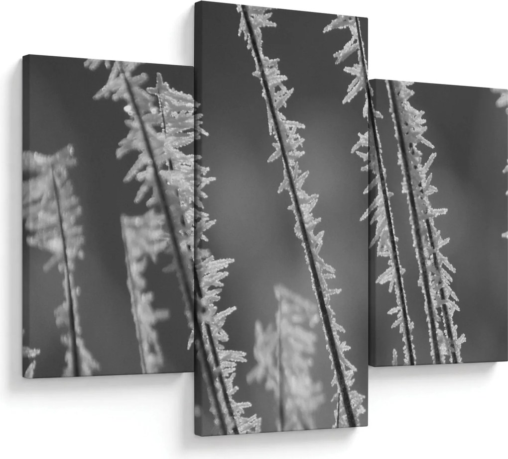 Kép - Fagyos hideg (90x60 cm)